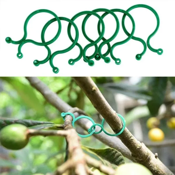 50pcs/100pcs Garden Clips Trellis for Vine Vegetable Tomato To Grow Upright Garden Plant Stand Tool Accessories Plant Support - Image 2