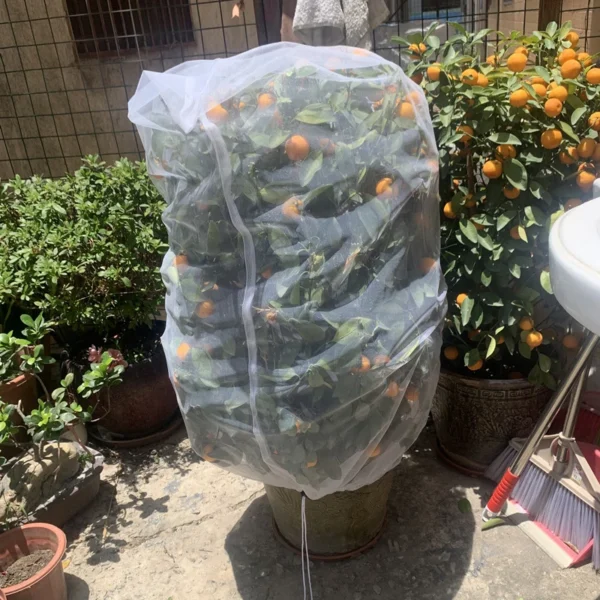 1Pc Garden Plant Fruit Fly Bug Net Insect Mesh Vegetable Crops Protection Cover Bags 5 Sizes - Image 3